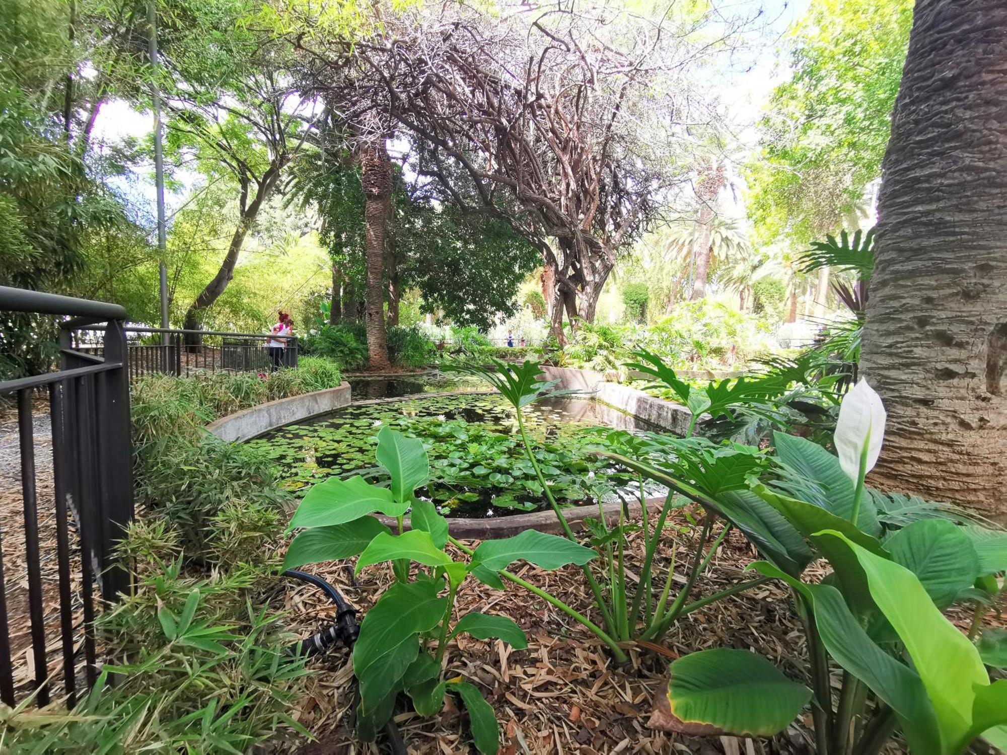Home2Book Cozy Apt La Marina, Santa Cruz Center Εξωτερικό φωτογραφία